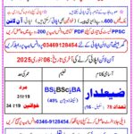 Department of Agriculture Punjab job