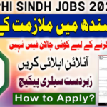 PPHI Sindh Jobs Online Apply