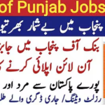 Bank Of Punjab Job