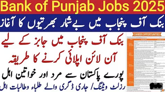 Bank Of Punjab Job